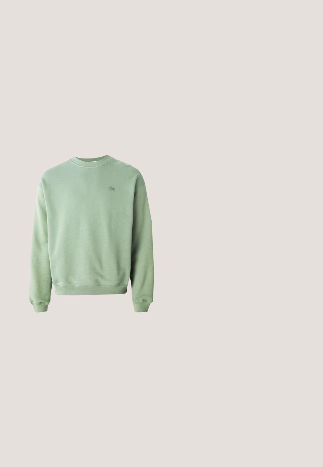 Hele rohelise tooni pikade varrukatega crewneck pusa, mille vasakul rinnal on väike broderi kujutis krokodillist.; Lihtne valge lühikeste varrukatega t-särk väikese mitmevärvilise "CK" logoga rinnal keskel.; Oliivrohelised sirge säärega püksid, millel on elastne vöökoht ja kaks lukuga küljetaskut, lihtsa disainiga, esikülg valgel taustal.; Valge madala säärega vabaajajalats, rohelise kontsakinnitusega, paksu sini-valge tallaga ja kaubamärgi nimega reljeefis, eksponeeritud peegeldava klaasplokkide seina taustal.; Olive roheline tikandiga kott musta rihmaga, millel on ülemine tõmblukuga sulgemine ja väline tõmblukuga tasku geomeetriliste mustritega aktsentidega.; Hõbedane roostevabast terasest kettkäevõru poleeritud ristkülikukujulise kinnitusega, millele on graveeritud "S. STEEL" tavalise valge tausta ees.