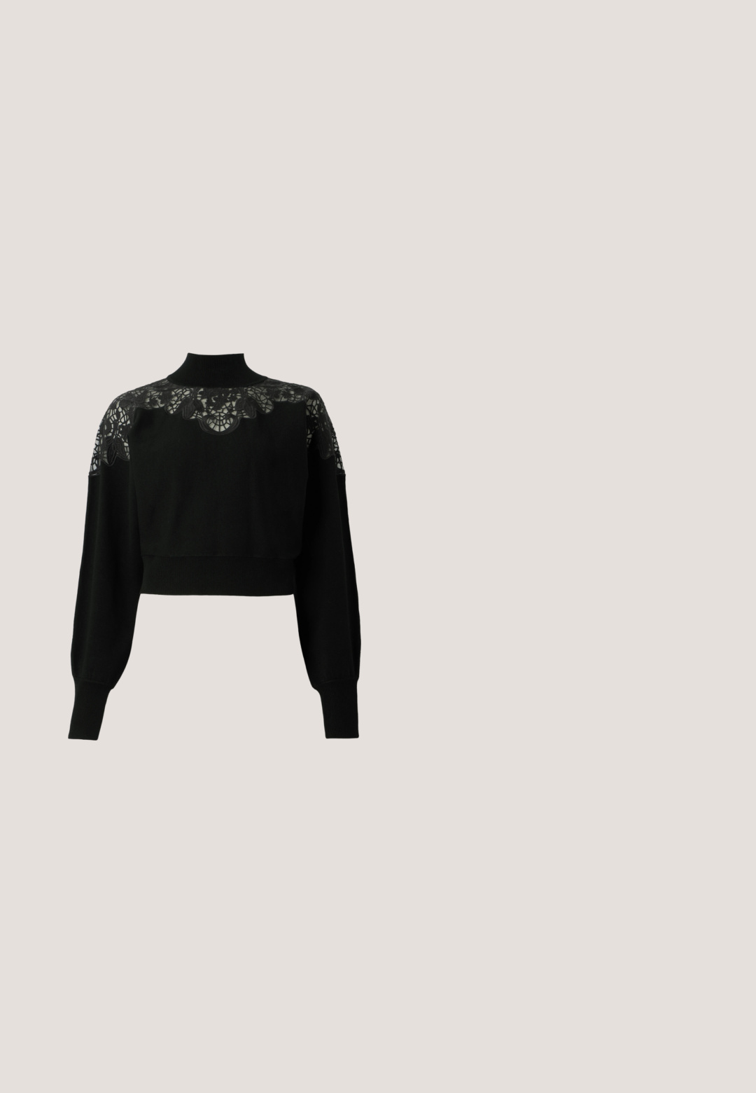 Pull court noir avec col montant, doté de détails en dentelle sur les épaules et de manches longues. Étoffe en tricot doux.; T-shirt noir à manches courtes avec contour brodé beige de deux grandes fleurs et feuilles sur le devant.; Pantalon beige clair à jambes droites avec une texture lisse, doté d'une ceinture plate, de passants pour ceinture et de deux poches avant.; Chaussure slingback en cuir noir avec un bout pointu, un petit talon et un détail de boucle décoratif sur le dessus. Texture lisse, design minimaliste.; Sac à main Lacoste noir avec un design structuré, texture lisse, poignées supérieures et une bandoulière amovible. Présente un accent de logo doré.; Boucles d'oreilles créoles dorées avec un design métallique incurvé et strié, dos en résine blanche, présentées côte à côte sur un fond neutre.