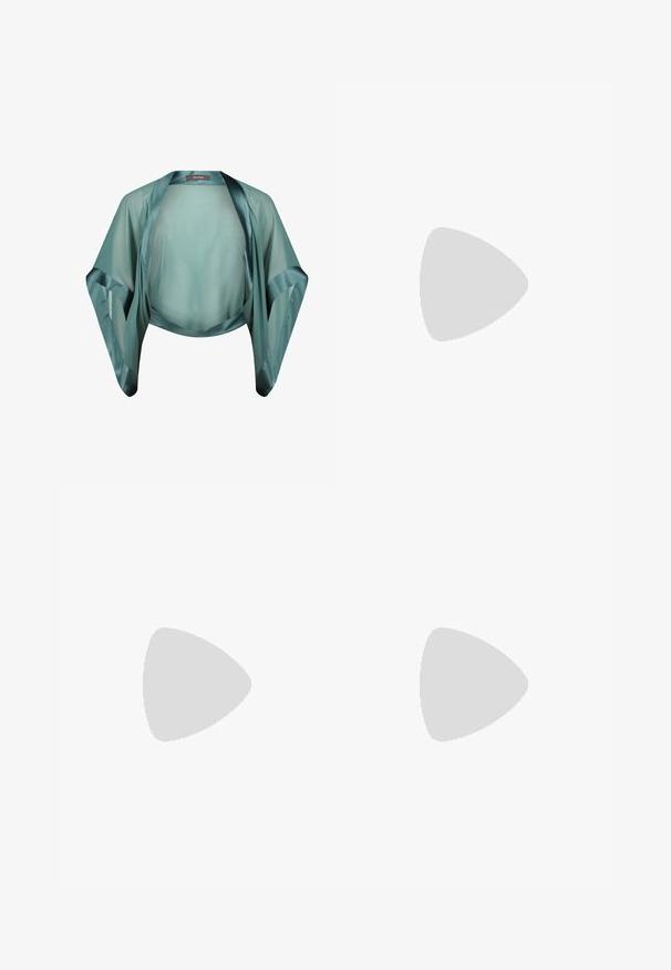 Veste kimono transparente couleur sarcelle avec accents en satin, ouverture devant et larges manches. Tissu léger au toucher lisse.; Robe maxi noire sans bretelles en tissu lisse et brillant. Présente un corsage ajusté et une silhouette fluide, atteignant le sol sans embellissements.; Escarpin noir en cuir verni avec un design à bout pointu et une silhouette élégante. Présente une finition lisse et brillante ainsi qu'un talon aiguille fin.; Pochette rectangulaire argentée couverte de petits strass avec un cadre en métal noir et argenté et une fermeture à clip.