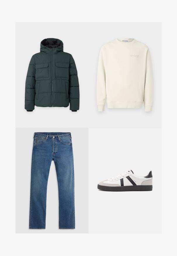 Dunkelgrüne gesteppte Jacke mit Kapuze, Frontreißverschluss, zwei Klappbrusttaschen und zwei Seitentaschen auf einfarbig hellem Hintergrund.; Replay LOGO CREW NECK - Sweatshirt - natural rope; Blaue geradlinige Jeans aus Denim mit fünf Taschen, Gürtelschlaufen sowie einem Verschluss mit Knopf und Reißverschluss auf einem schlichten Hintergrund.; Weiße Sneaker mit schwarz- und grau-aczenten, ausgestattet mit einer strukturierten grauen Zehenkappe, schwarzer Gummi-Sohle und flachen weißen Schnürsenkeln. Sauberes Design, minimalistische Stil.