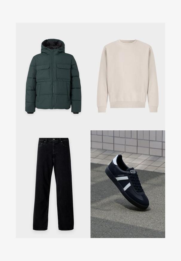 Donkergroene gewatteerde jas met capuchon, ritssluiting aan de voorkant, twee klepzakken op de borst en twee zijzakken op een effen lichte achtergrond.; Beige crewneck sweatshirt gemaakt van zachte katoen, met een ontspannen pasvorm, ribgebreide boorden en zoom, zonder zichtbare patronen of hardware.; Hollister Co. Baggy jeans - washed black; Zwarte leren sneaker met witte strepen, een gestructureerde rubberen zool en vetersluiting aan de voorkant. Voorzien van een merklabel op de tong.
