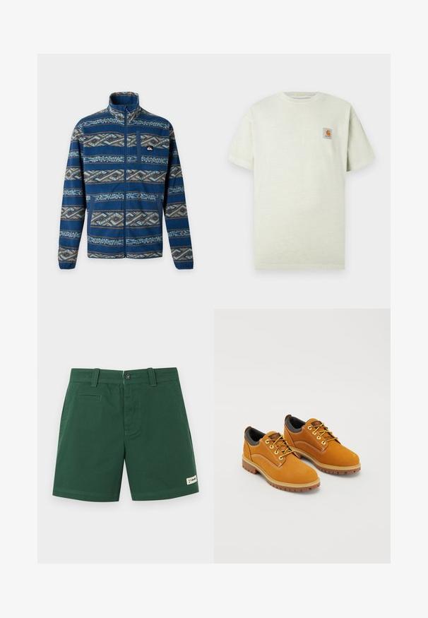 Veste en polaire bleue avec fermeture éclair complète, col montant, rayures horizontales à motif géométrique, poche poitrine et poignets élastiques.; T-shirt en coton vert clair avec des manches courtes, un col rond et un petit patch carré avec un logo sur la poitrine gauche. Texture douce.; Shorts longs jusqu'au genou de couleur vert foncé avec passants pour ceinture, fermeture à bouton et à glissière, poches latérales, et un petit patch logo sur l'ourlet.; Chaussures en daim marron avec un bout rond, des lacets jaunes, un col rembourré noir et des semelles en caoutchouc avec des rainures de traction.