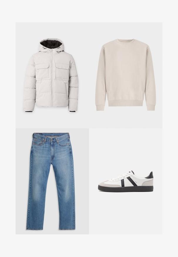 Hellgraue, gesteppte Winterjacke mit Frontreißverschluss, zwei Brustklappentaschen, Seitentaschen und Kapuze mit schwarzem Innenfutter.; Beige Sweatshirt mit Rundhalsausschnitt aus weicher Baumwolle, mit einem lockeren Schnitt, Rippbündchen und -saum, ohne sichtbare Muster oder Beschläge.; Blaue gerade geschnittene Denim-Jeans mit vorne liegendem Knopf- und Reißverschluss, Gürtelschlaufen und Fünf-Taschen-Design auf weißem Hintergrund.; Weiße Sneaker mit schwarz- und grau-aczenten, ausgestattet mit einer strukturierten grauen Zehenkappe, schwarzer Gummi-Sohle und flachen weißen Schnürsenkeln. Sauberes Design, minimalistische Stil.