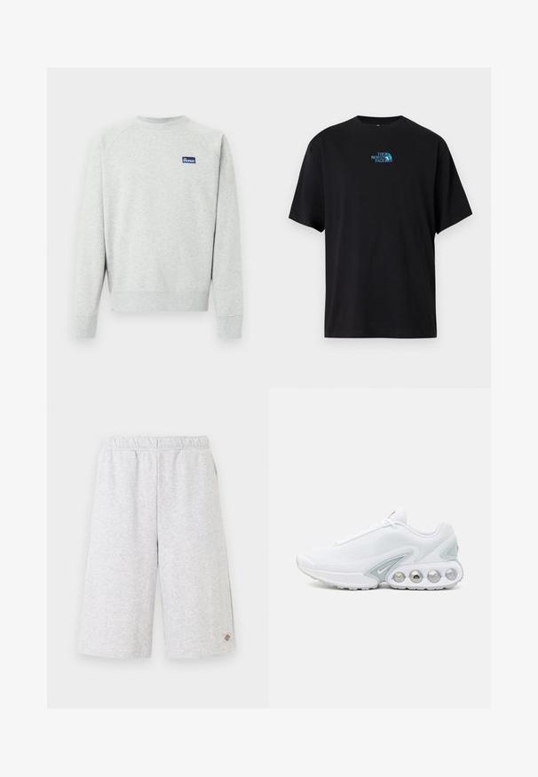 Hellgraues Sweatshirt mit Rundhalsausschnitt und langen Ärmeln sowie einem kleinen blauen rechteckigen Logopatch auf der Brust.; Schwarzes Baumwoll-T-Shirt mit rundem Ausschnitt und kurzen Ärmeln, mit einem türkisfarbenen "The North Face"-Logo auf der Brust.; Hellgraue knielange Shorts mit elastischem Bund und kleinem Markenlogo am unteren linken Bein.; Weißer Mesh-Sneaker mit grauen Akzenten, runder Zehenpartie und sichtbarem, gepolstertem Schuhsohlenbereich mit runden Luftpolstern und Markenlogo.