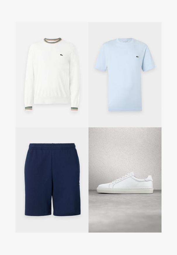 Valge sviiter, millel on ümmargune kaelus ja rohelised, punased ning oranžid triibud kaeluse ja varrukate ääres. Rinnal Lacoste logo.; Hele sinise lühikeste varrukatega T-särk on valmistatud pehmest puuvillast. Ees on väike roheline tikandiga krokodilli logo.; Tumedat sinised lühikesed püksid pehmest materjalist, millel on elastne vöökoht ja küljetaskud. Minimalistlik disain, ilma nähtavate mustriteta.; Valge tennisetoss, millel on sile nahk pealis ja madal profiil. Omab ümarat ninaosa, kuut silmust ja tekstuuriga kummist talda.