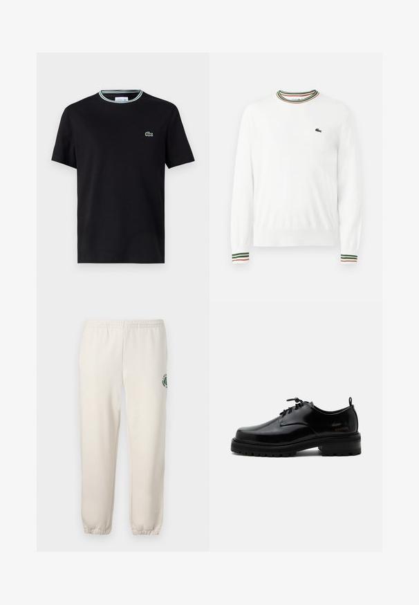 Valge sviiter, millel on ümmargune kaelus ja rohelised, punased ning oranžid triibud kaeluse ja varrukate ääres. Rinnal Lacoste logo.; Must värvi puuvillane T-särk ümmarguse kaelusega, millel on valge ja roheline triibuline äärestus ning vasakul rinnal brodeeritud roheline krokodilli logo.; Heledadbežased püksid, mis on valmistatud puuvillast, varustatud elastse vöökohtaga, soonikute lõpetustega ja vasakul jalal on roheline logo lehe kujundusega.; Mustast poleeritud nahast paeltega jalanõu paksu kummist tallaga ja madala kontsaga, küljes brändi nimi „SAMSOE“ ning taga tõmbenööriga.