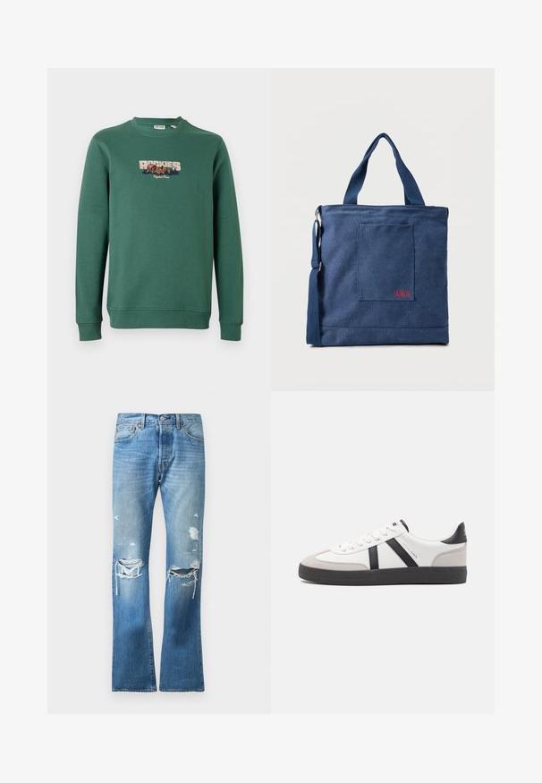 Vihreä puuvillapaita pitkillä hihoilla, pyöreällä kaula-aukolla ja "ROCKIES" -grafiikalla, jossa on oranssia ja sinistä kirjontaa esittäviä vuoria.; Sininen suora lahje denim-farkut, joissa on haalistunut pesu ja useita kuluneita repeämiä molemmissa polvissa ja ylemmissä reisissä.; Valkoiset lenkkarit mustilla ja harmailla yksityiskohdilla, joissa on teksturoitu harmaa kärki, musta kumipohja ja litteät valkoiset nauhat. Siisti muotoilu, minimalistinen tyyli.; Sininen kangaskassi, jossa etutasku ja punainen "O.N.S"-kirjailu, kaksin kahvoin ja säädettävällä olkahihnalla.