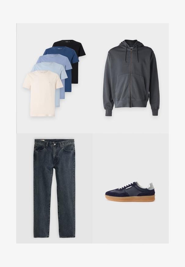 Hallide halliga, millega on kapuuts, esikott ja ribakätised. Valmistatud pehmest kangast, millel on lihtne ja puhas disain.; Kogum viisemehise T-särgi kollektsioon koorevärvi, helesinise, tumesinise ja musta tooni, mis on valmistatud pehmest puuvillast ja millel on lihtne disain.; Tumedat sinised teksapüksid sirge jalaga disainiga, viie taskuga ja nupuga sulgemine. Kanga peal on peenheledus ja tekstuur.; Tumesinine samet- ja nahksneaker, millel on kummine põhi, valged paelad ja hõbedane aktsent kandadel. Madal disain tekstuursete detailidega.