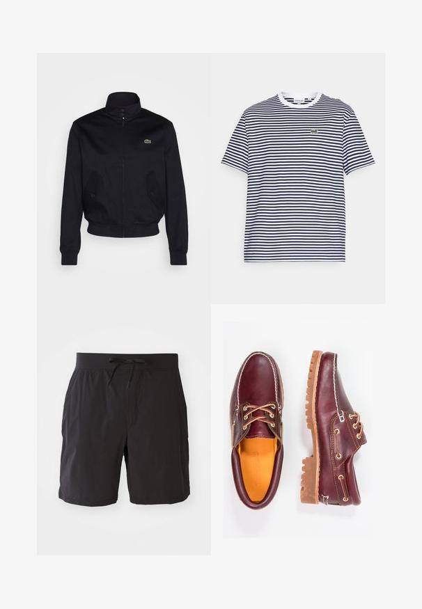 Tumedat sinine jakk kõrge kaelusega, lukuga esiosas ja kahe küljetaskuga; rinnal on roheline Lacoste logo; valmistatud siledast kangast.; Tumesinine ja valge triibuline puuvillane t-särk ümmarguse kaela ja lühikeste varrukatega. Ees on väike roheline krokodilli logo.; Mustad mustad ujumispüksid elastse vöökoha ja kummipaela ning tõmblukuga. Valmistatud kergest kangast, millel on sile, matt tekstuur ja nähtavaid mustreid ei ole.; Burgundia nahkkingad pruunide kummitaldadega, ümmarguse varbaga, valge tikandi ja kuldsete silmadega. Siseosa on kollase voodriga.