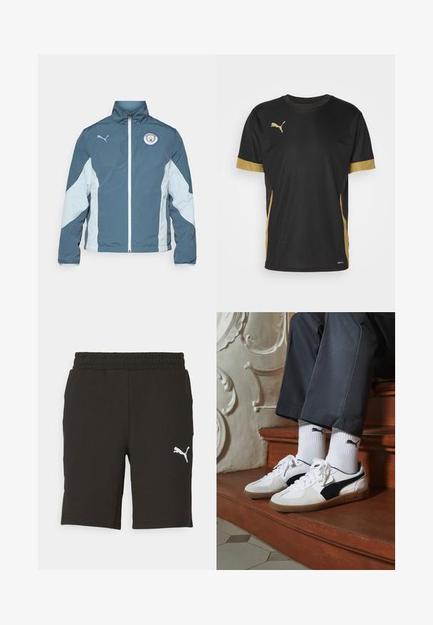 Tume smaragdrohe ja helesinise tuulejope, millel on tõmblukk, kõrge krae ja Manchester City logo rinnal.; Musthave musternig musternig ja musternig musternig D mga t-t-s-is t-t-s-is T. Kolla musternig on kõrv ja musternig on jõud. Musternig, musternig on üles ja musternig on laht.; Mustad lühikesed püksid pehmest kangast, millel on elastne vöökoht ja valge Puma logo alumisel küljel. Klassikaline disain sirge lõikega.; Puma tossud valgest ja mustast südamikust, millel on pruun kummi tall. Kombineeritud valgete sokkidega, millel on must logo, kantud tumedate pükstega.