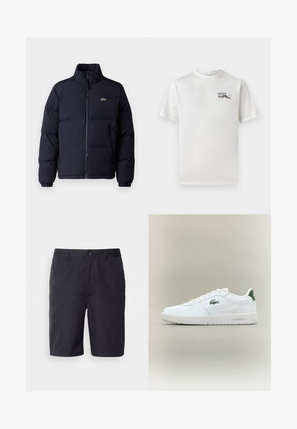 Tumedat sinine puffjaket kõrge krae, lukuga kinnine ja elastsete mansettidega. Üksikasjades on väike roheline logo vasakul rinnal.; Valge puuvillane T-särk ümmarguse kaelusega, lühikeste varrukatega ja väikese tikandiga logoga, millel on mäed ja tekst vasakul rinnal.; Tumepruunid lühikesed püksid kergest puuvillast kangast, millel on nööbiga sulgemine, vöökohad ja sirge lõige põlve kohal.; Valge nahkne spordijalats sujuva viimistlusega, rohelised aktsendid kanna peal ja roheline logo küljel. Omab lamedat tallat ja ümmargust varvast.