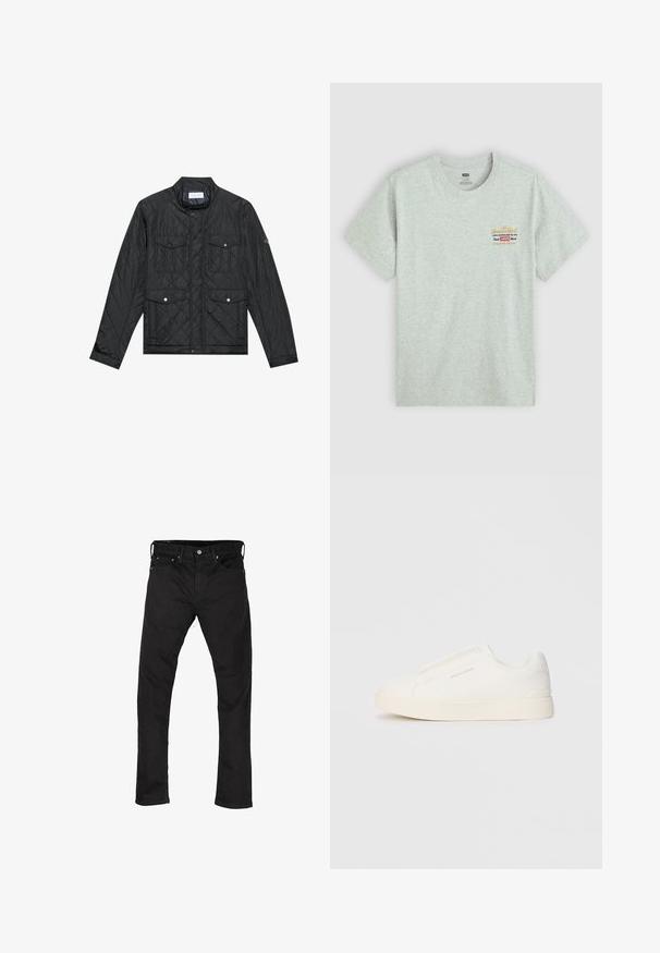 Mustmust riieumikate, millel on seisva kraega, kaks esipocketit nupuvajutustega ja tikitud tekstuur, valmistatud kergetest materjalidest.; Hallhalli puuvillane t-särk lühikeste varrukatega, ümar kaelus, millel on mitmevärviline kaubamärgi logo trükk vasakul ülal. Sile tekstuur.; Mustad mustad slim-fit teksad, viie taskuga ja nööbiga sulgemine, asetatud lamedale valgele taustale.; Valged libisemiskindlad tossud tekstuuriga pinnaga, paksu tallaga ja minimalistikus disainis. Küljel on brändi logo.