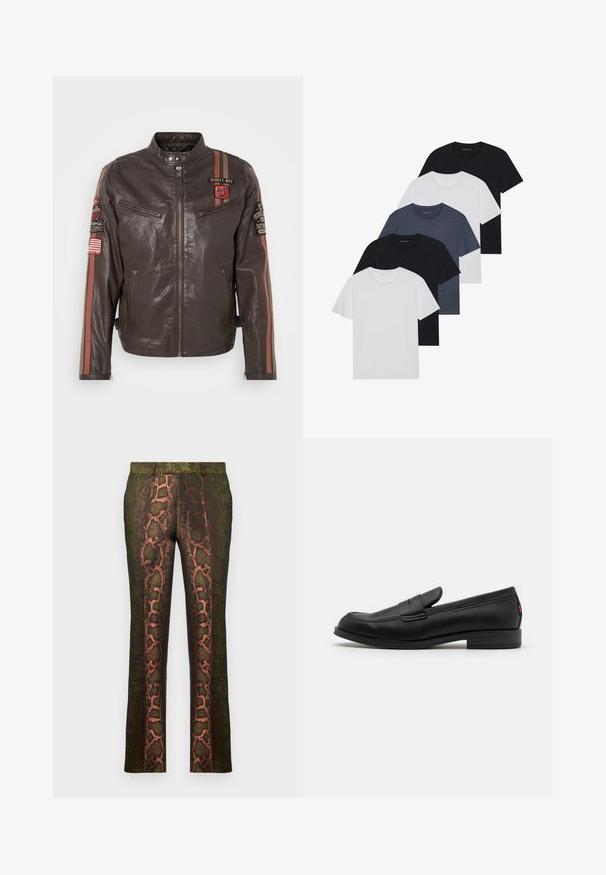 Pruun nahast mootorrattajakk, millel on lukuga esiosa, seisva kraega, plaastrielementidega, õlavarre triibud eri punase ja pruuni tooni ning lukuga mansetid.; Viie t-särgi komplekt mustas, valges ja tumesinisest. Puuvillane kangas, lühikesed varrukad, ümar kaelaauk ja ühtlane tekstuur ilma mustriteta.; Roheline mustriga püksid, millel on madu trükk pruunide ja oranžide varjunditega, sirge lõikega ja siledast tekstuurist.; Mustad mustad nahast loaferid siledast viimistlusest, ümmargune nina ja väike dekoratiivne klapp. Omab madalat kokkupandud kontsa ja diskreetset brändingut.