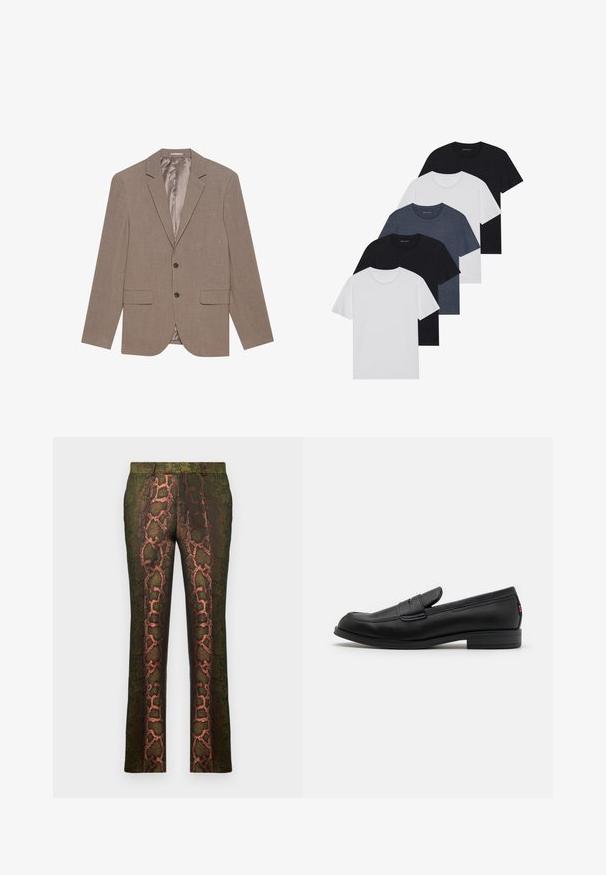 Helepruun bleiser, mis on valmistatud tekstuuriga kangast, omades kahte eesmist taskut, ühe nupuga sulgemist ja satiinviimistlusega voodrit.; Viie t-särgi komplekt mustas, valges ja tumesinisest. Puuvillane kangas, lühikesed varrukad, ümar kaelaauk ja ühtlane tekstuur ilma mustriteta.; Roheline mustriga püksid, millel on madu trükk pruunide ja oranžide varjunditega, sirge lõikega ja siledast tekstuurist.; Mustad mustad nahast loaferid siledast viimistlusest, ümmargune nina ja väike dekoratiivne klapp. Omab madalat kokkupandud kontsa ja diskreetset brändingut.