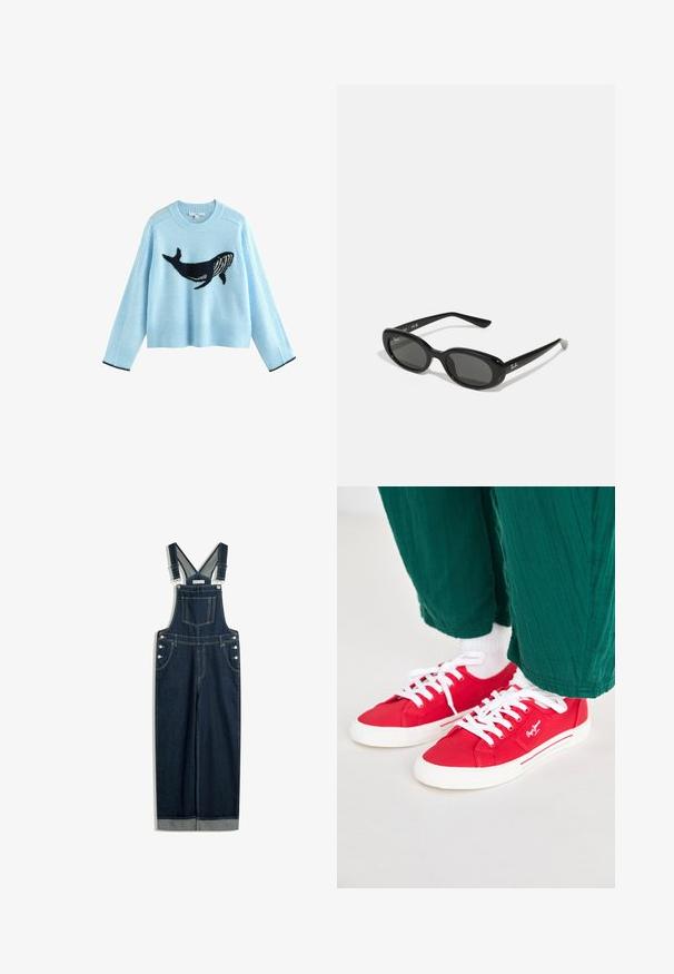 Svijetloplavi pulover s grafikom kita, izrađen od mekanog materijala. Ima rebraste manžete i donji rub s mornarskim plavim detaljima. Skraćeni dizajn, duge rukave.; Tamni plavi traperici s naramenicama koje se mogu prilagoditi, prednjim džepom, bočnim dugmadi i širih nogavica s preklopom.; Crvene platnene tenisice s bijelim vezicama, s bijelim gumiranim potplatom i prugastim detaljima sa strane. Uparene s zelenim teksturiranim hlačama i bijelim čarapama.; Crne sunčane naočale s ovalnim lećama, sjajnim plastičnim okvirom i tankim krakovima. Značajka je Ray-Ban logo u bijeloj boji s strane.