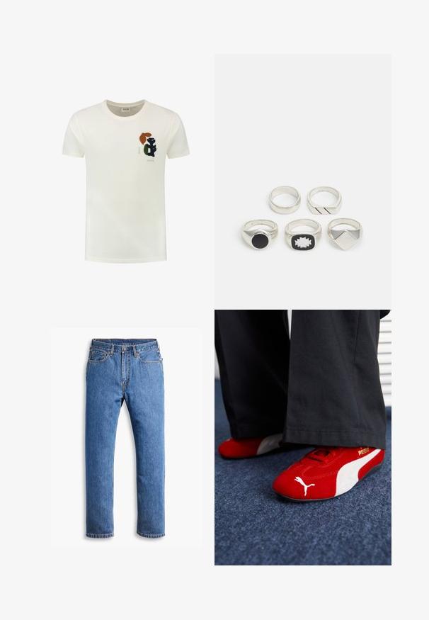 Kreemivärvi puuvillane t-särk, millel on ümar kaelus ja lühikesed varrukad. Rinnal on märkimisväärne tumeroheline, pruun ja must kiri.; Sinine denimist teksapüksid otse lõikega, viie taskuga, nööpide sulgemisega ja puhase valge tausta peal oranzide õmblustega.; Punased sametist tennisetossud valgete detailidega, iseloomulik materjal, ümmargune varvas ja külgsuunas kuldne logo, kantud mustade pükstega.; Viis hõbedast sõrmust: üks musta ümmarguse detailiga, üks valge ja musta geomeetrilise mustriga ning teised erinevate vormide ja viimistlustega.