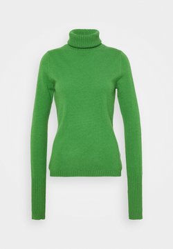 FTC Cashmere - ROLLNECK - Trui - grün